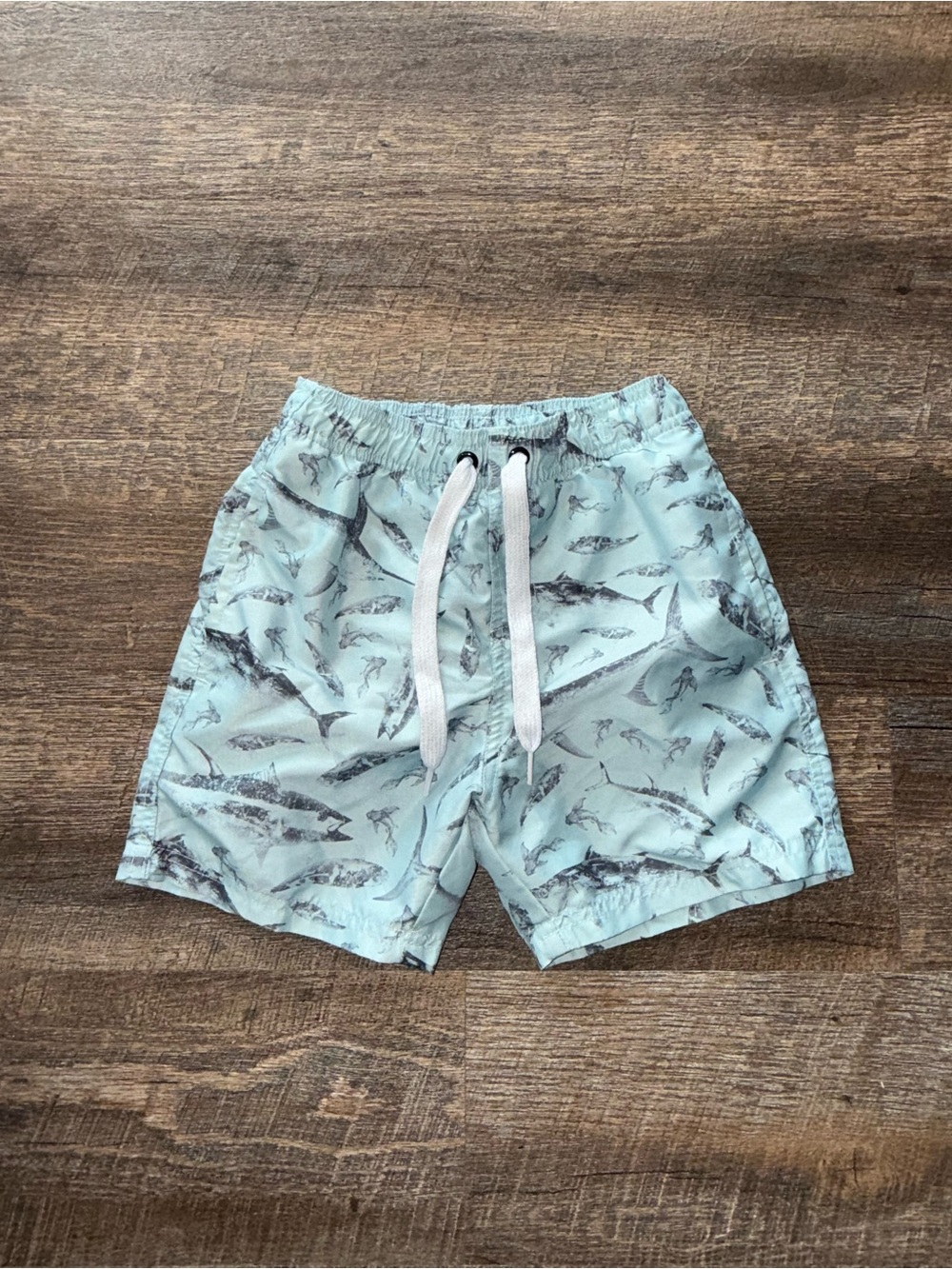 Boys size medium 8 Light Aqua Fish Print Swim Trunks